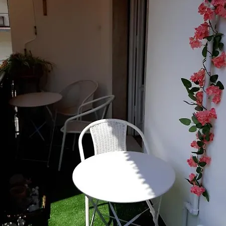 Alojamento de Acomodação e Pequeno-almoço Casa Adele *
